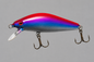 Tacon de truite arc en ciel