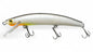 Minnow 100