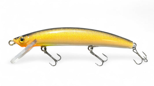 Minnow 100