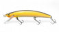 Minnow 100