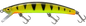 La perchaude